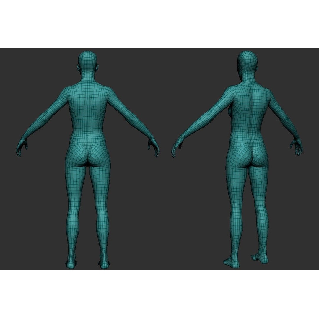 Female Anatomy Study 3D Model – Low Poly ZBrush Asset, Game Ready - View 10