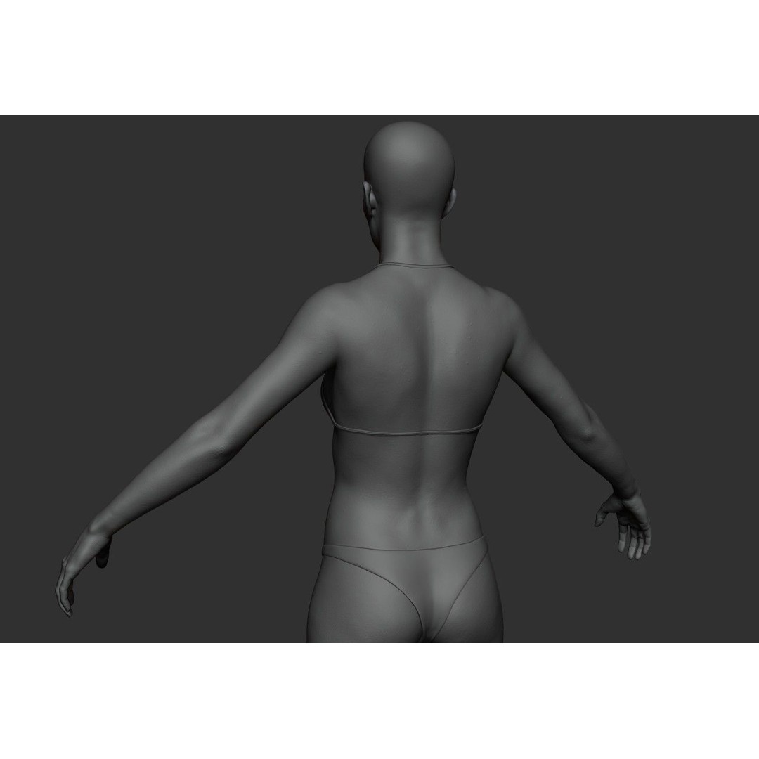 Female Anatomy Study 3D Model – Low Poly ZBrush Asset, Game Ready - View 17