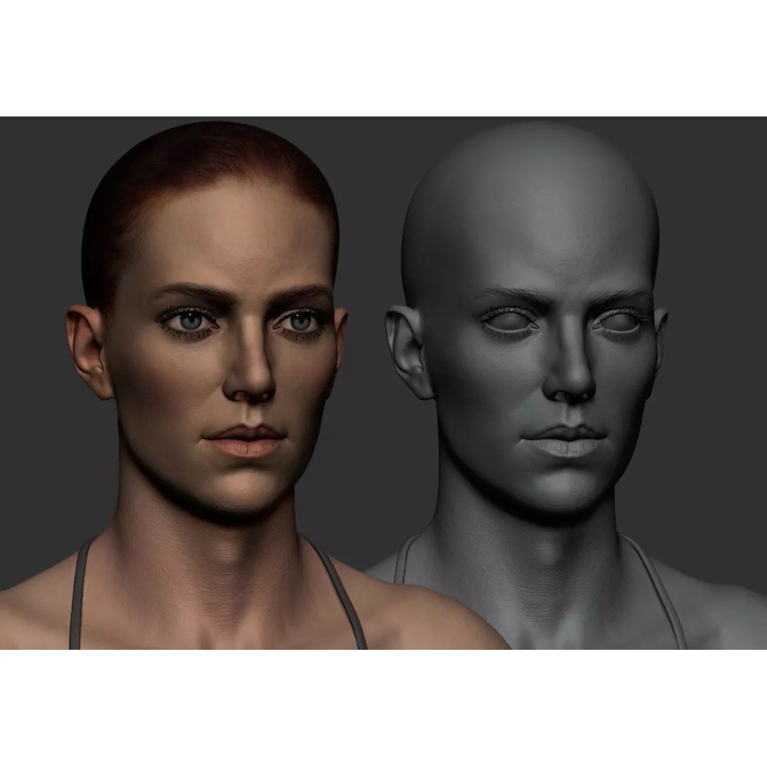 Female Anatomy Study 3D Model – Low Poly ZBrush Asset, Game Ready - View 2