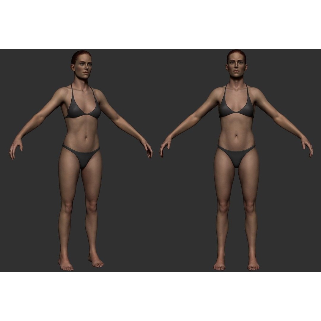 Female Anatomy Study 3D Model – Low Poly ZBrush Asset, Game Ready - View 5