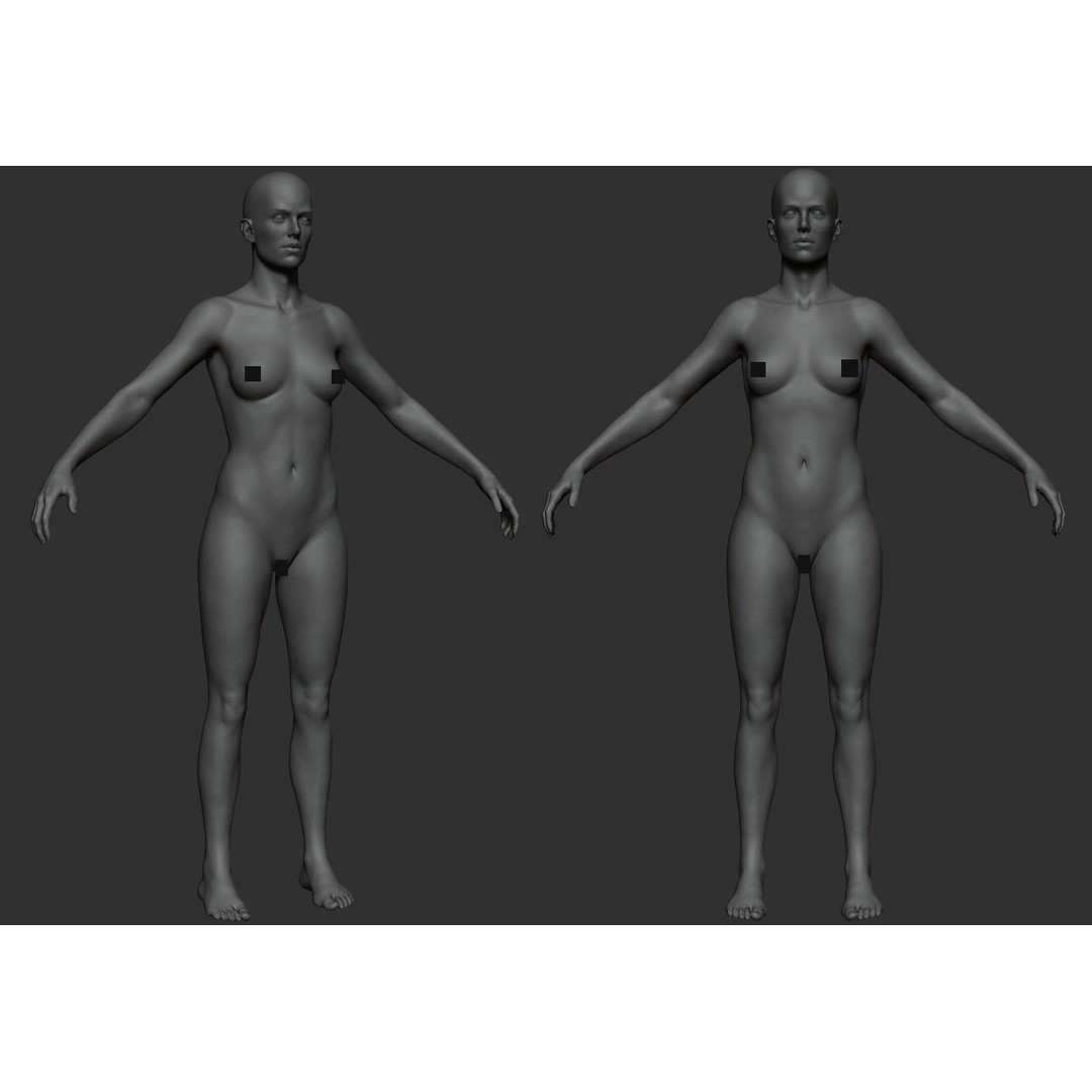 Female Anatomy Study 3D Model – Low Poly ZBrush Asset, Game Ready - View 6
