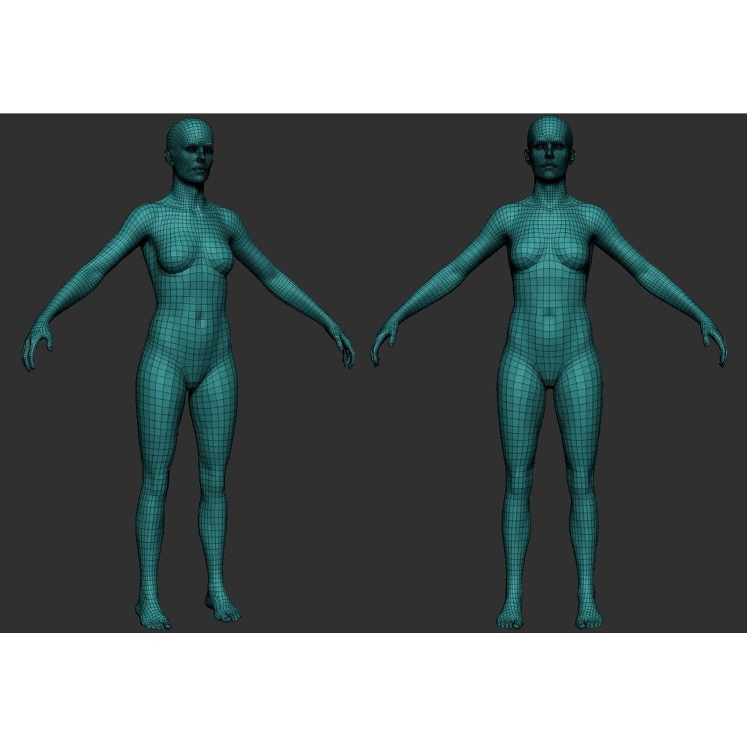 Female Anatomy Study 3D Model – Low Poly ZBrush Asset, Game Ready - View 7