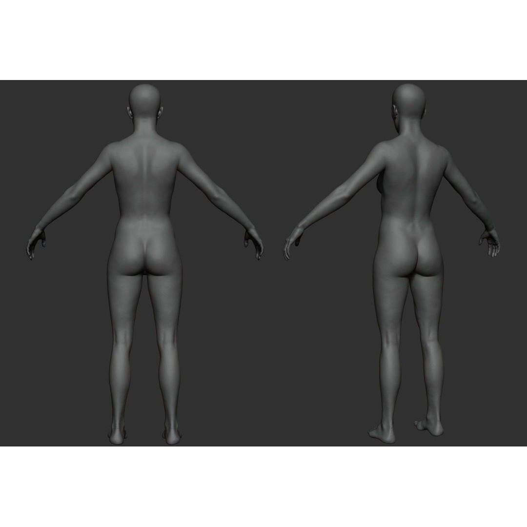 Female Anatomy Study 3D Model – Low Poly ZBrush Asset, Game Ready - View 9