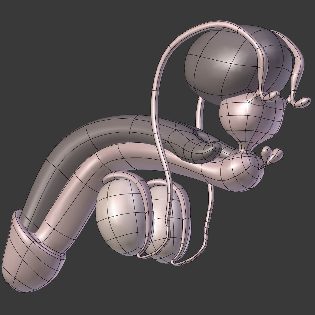 Reproductive System 3D Model – Low Poly Anatomy Asset, FBX - View 17