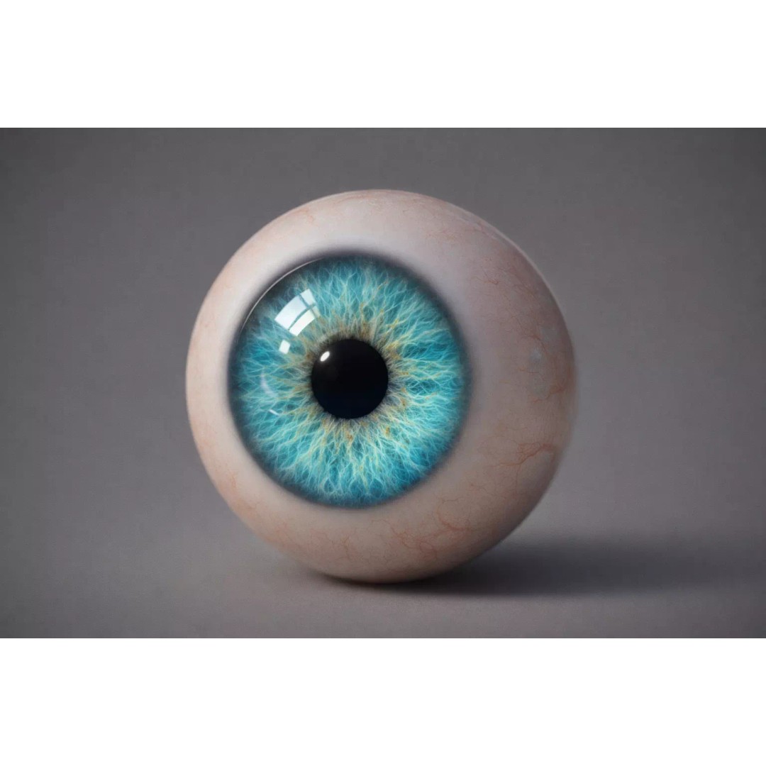 Human Eye 3D Model – Ultra Realistic Anatomical Asset, FBX - View 5