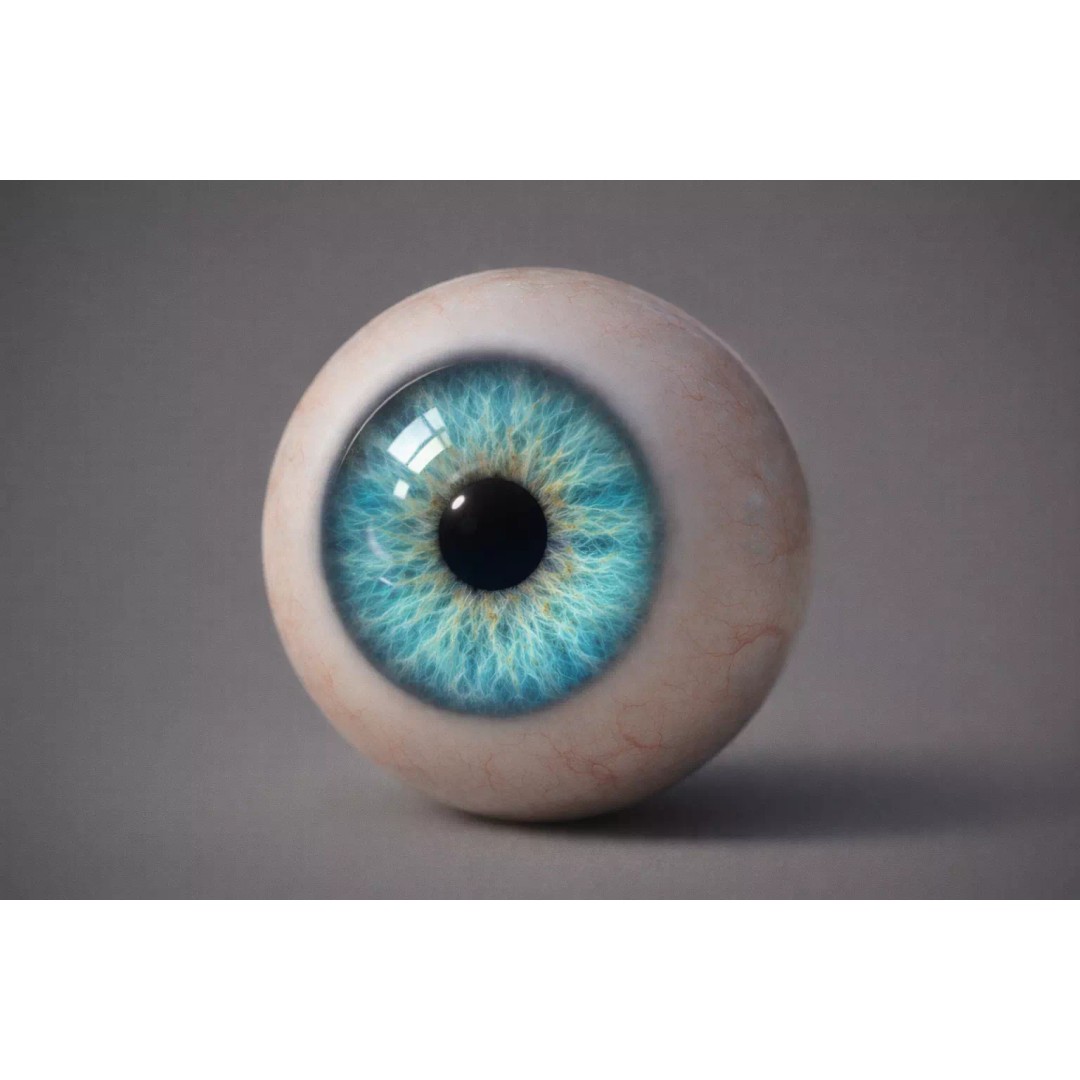 Human Eye 3D Model – Ultra Realistic Anatomical Asset, FBX - View 6