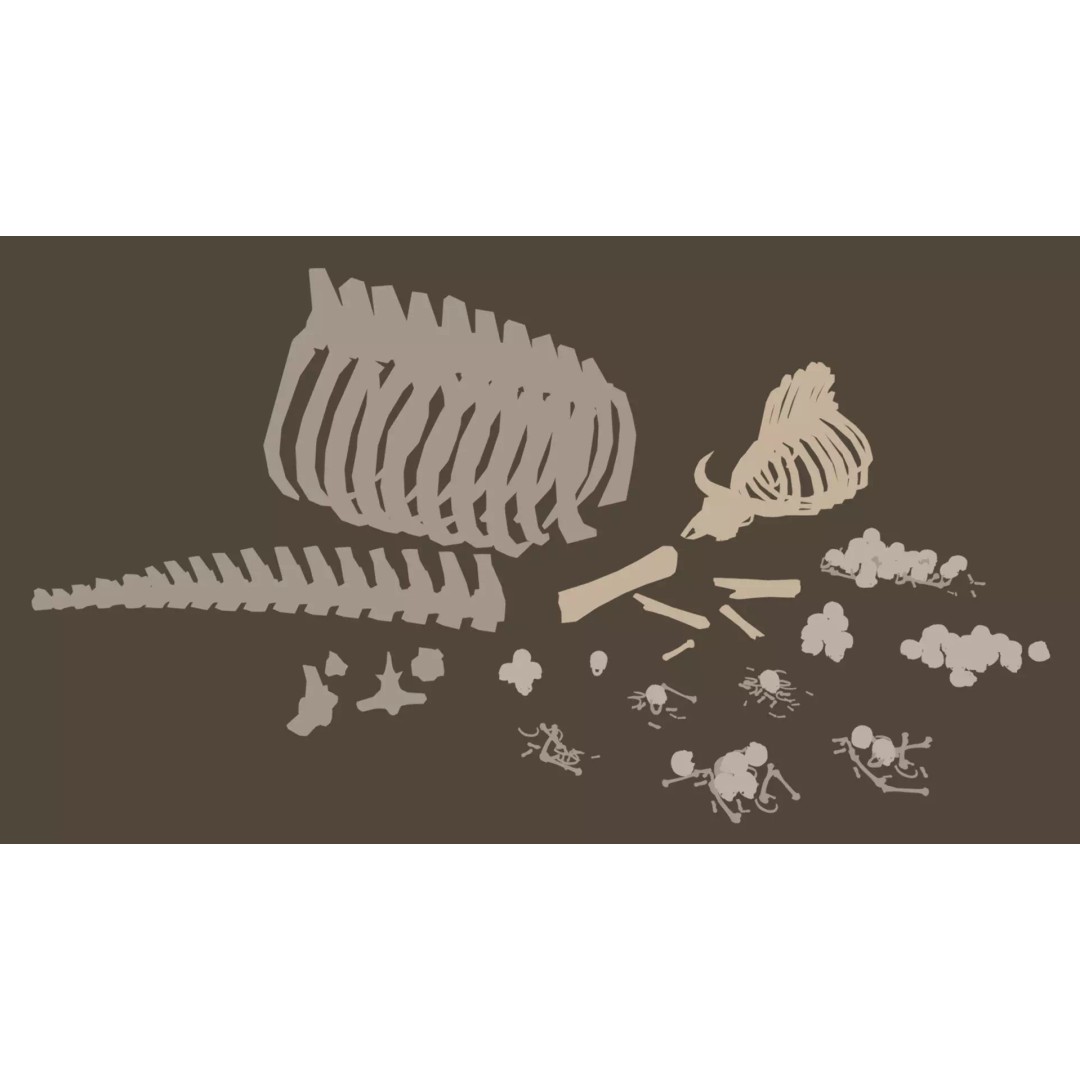 Bones and Skulls 3D Model – Low Poly Props Pack, FBX, Game Ready
