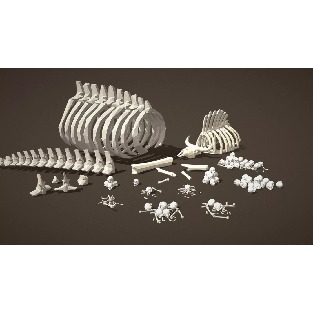 Bones and Skulls 3D Model – Low Poly Props Pack, FBX, Game Ready - View 3