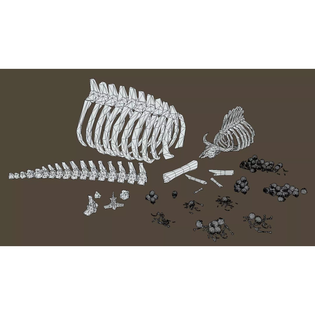 Bones and Skulls 3D Model – Low Poly Props Pack, FBX, Game Ready - View 7