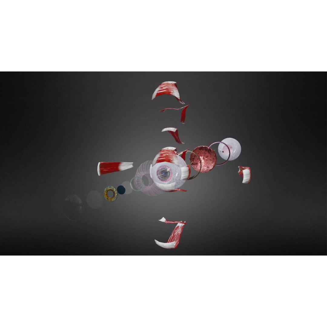 Eye System 3D Model – Low Poly Game Asset, FBX, OBJ, Blender - View 2