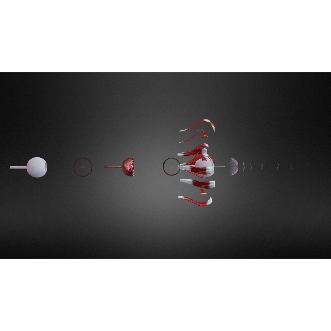 Eye System 3D Model – Low Poly Game Asset, FBX, OBJ, Blender - View 5