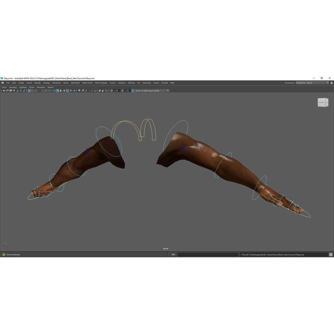 Black Realistic Hands 3D Model – Rigged Low-Poly Game Asset, FBX - View 10