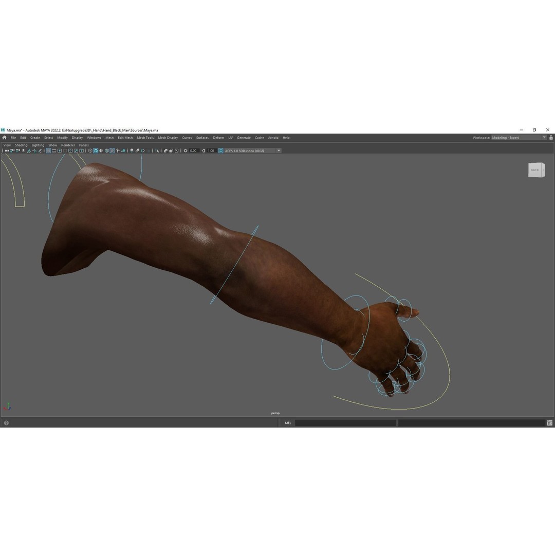 Black Realistic Hands 3D Model – Rigged Low-Poly Game Asset, FBX - View 11
