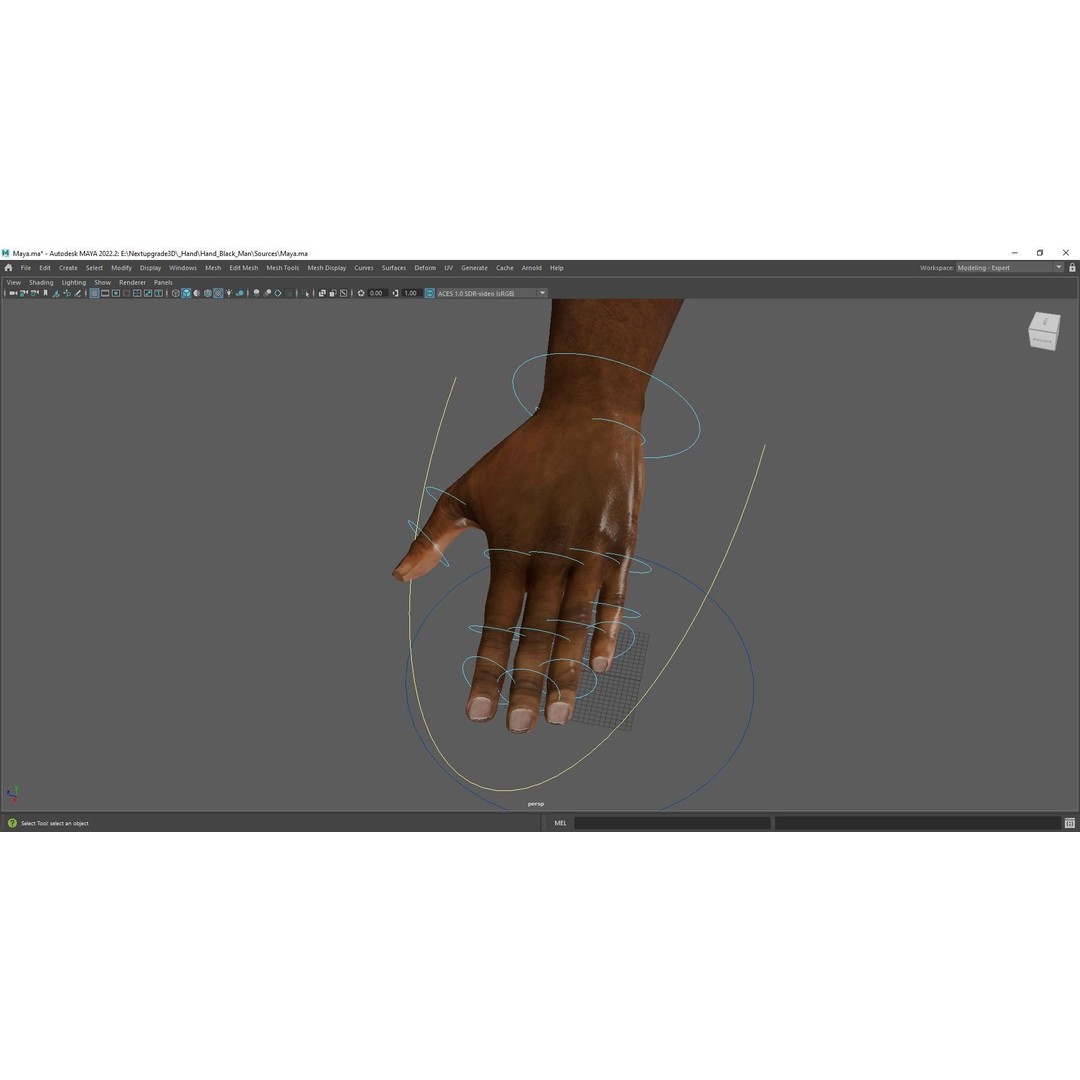 Black Realistic Hands 3D Model – Rigged Low-Poly Game Asset, FBX - View 12