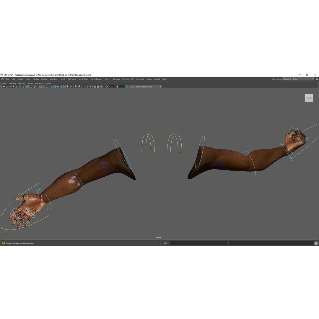Black Realistic Hands 3D Model – Rigged Low-Poly Game Asset, FBX - View 13