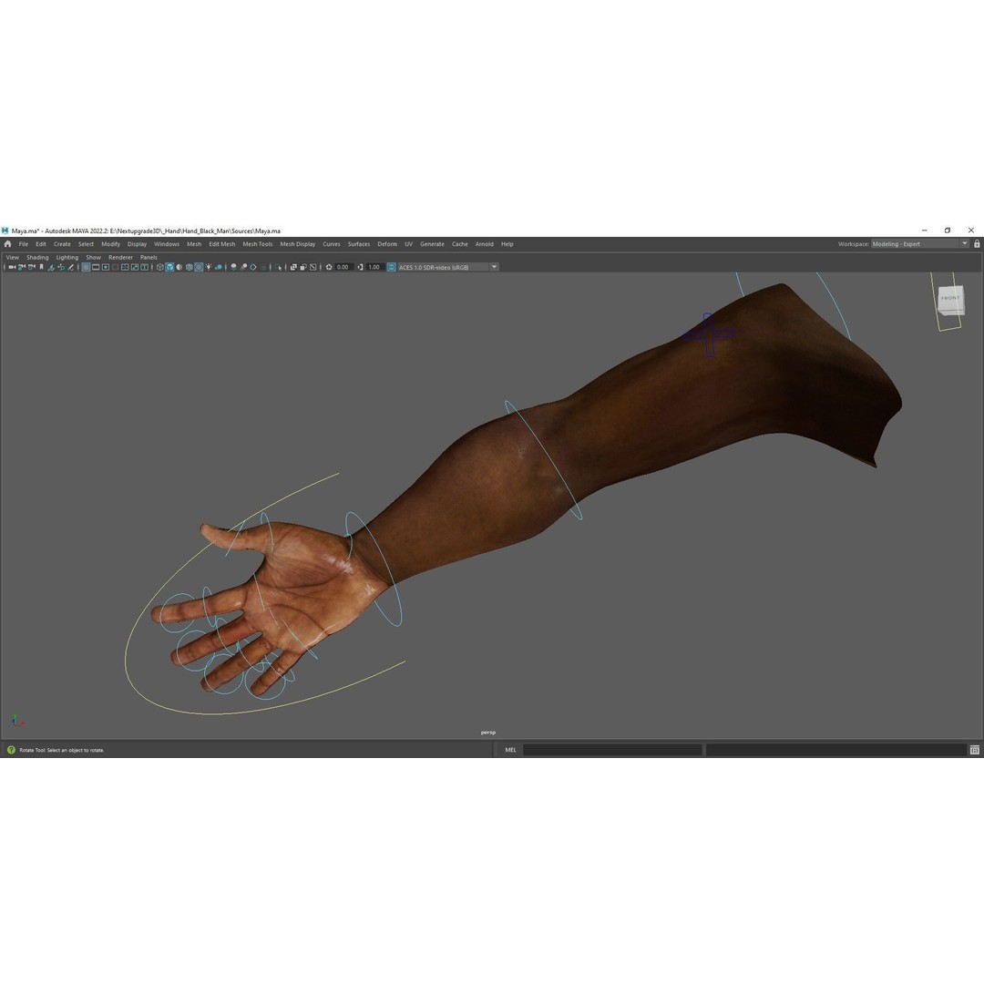 Black Realistic Hands 3D Model – Rigged Low-Poly Game Asset, FBX - View 15