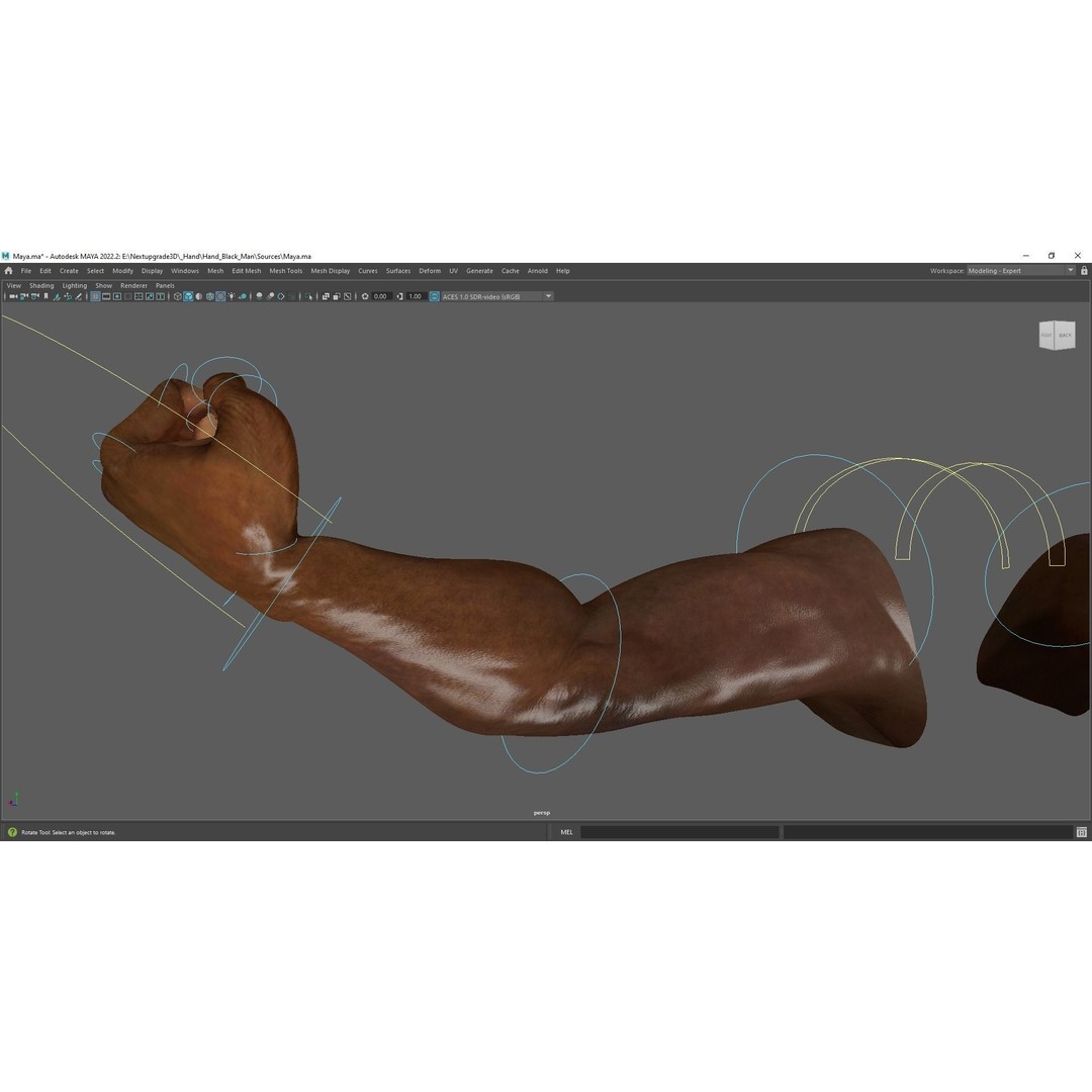 Black Realistic Hands 3D Model – Rigged Low-Poly Game Asset, FBX - View 17