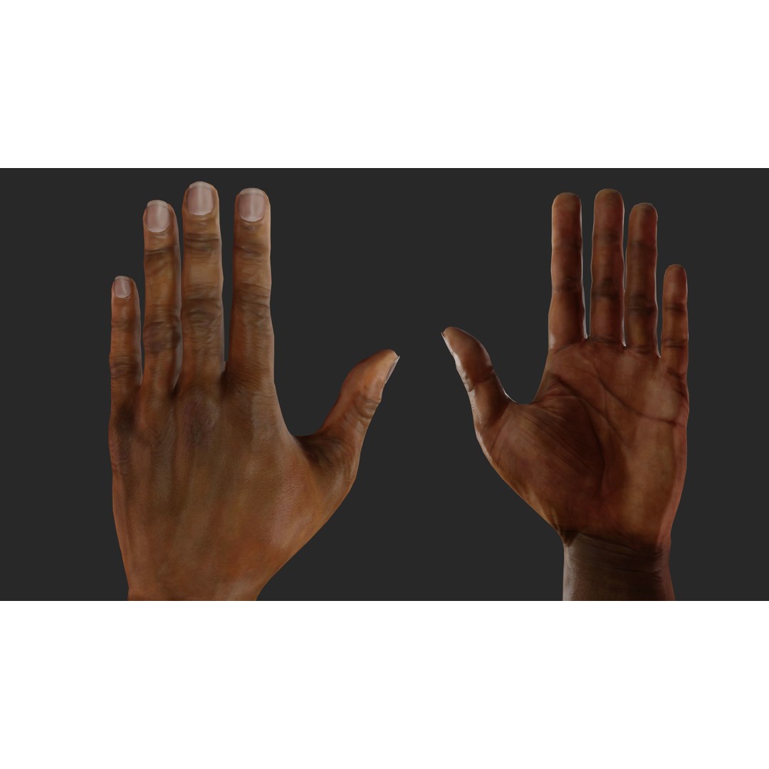 Black Realistic Hands 3D Model – Rigged Low-Poly Game Asset, FBX - View 26