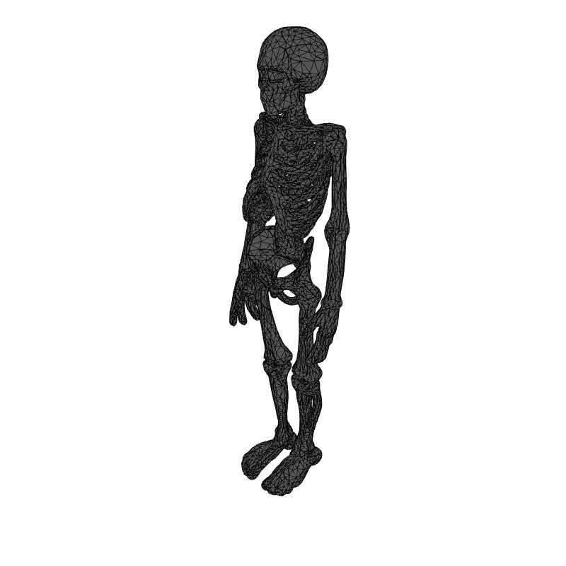 Realistic Human Skeleton 3D Model – Low Poly Game Asset, FBX, PBR Textures