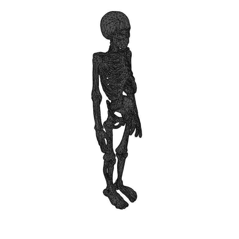 Realistic Human Skeleton 3D Model – Low Poly Game Asset, FBX, PBR Textures - View 3