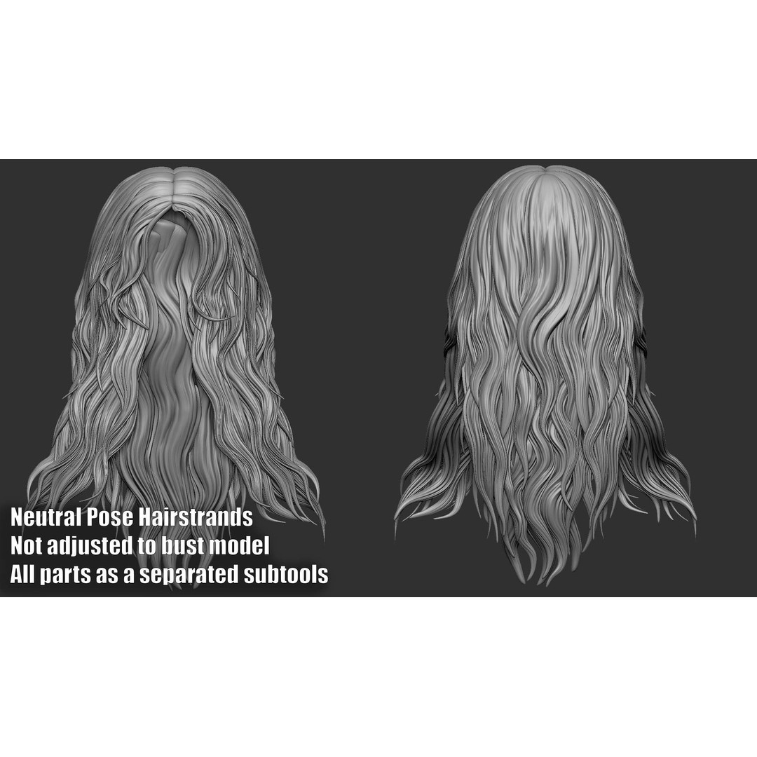 Hair 81 3D Model – Long Detailed Hairstyle, ZTL, OBJ, STL