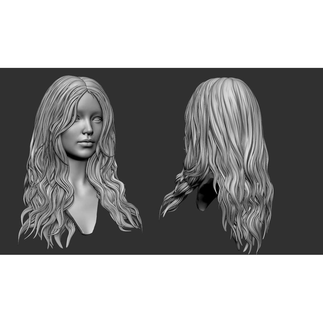 Hair 81 3D Model – Long Detailed Hairstyle, ZTL, OBJ, STL - View 3