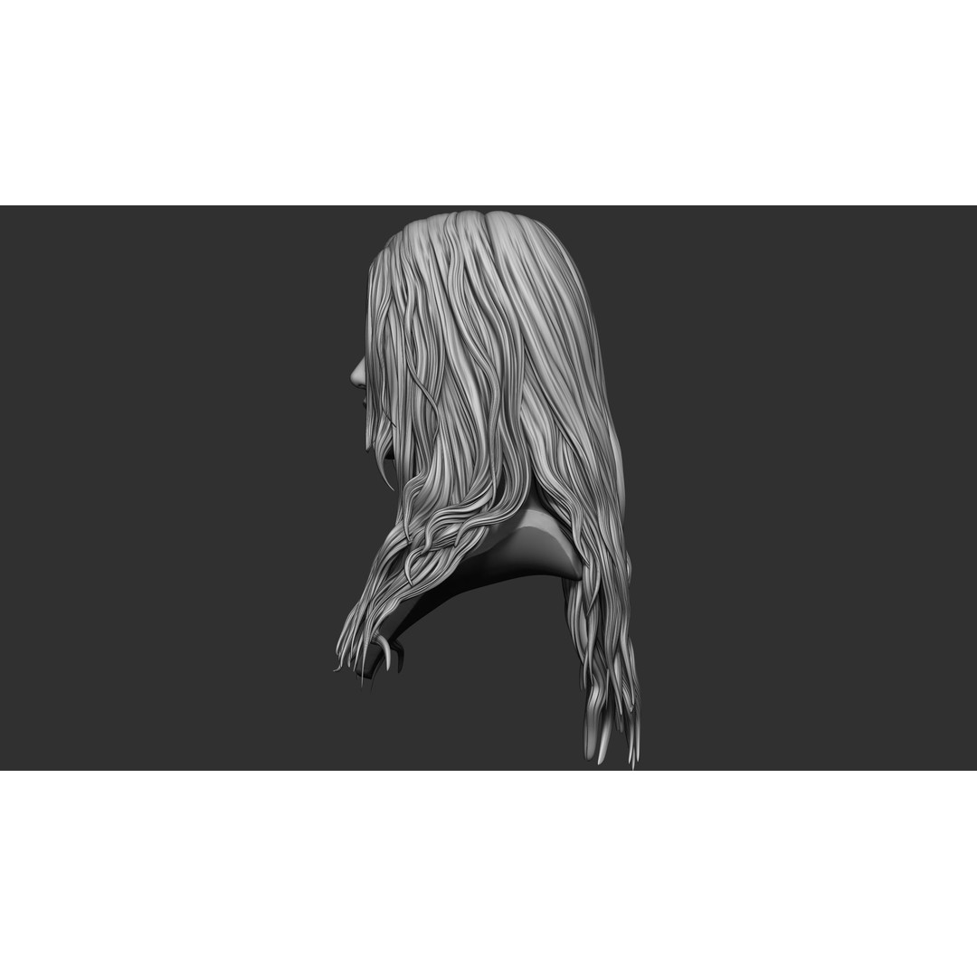 Hair 81 3D Model – Long Detailed Hairstyle, ZTL, OBJ, STL - View 8
