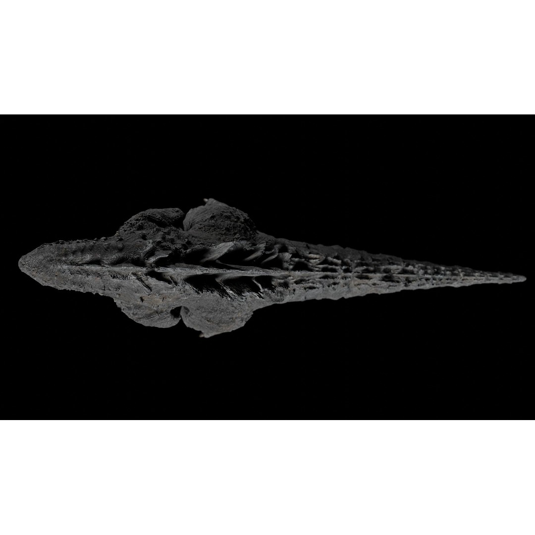 Godzilla 3D Model – Low Poly Rigged Character with PBR Textures - View 19