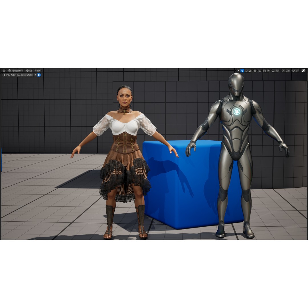Medieval Steampunk Woman 3D Model – Low Poly Rigged Character, FBX - View 23