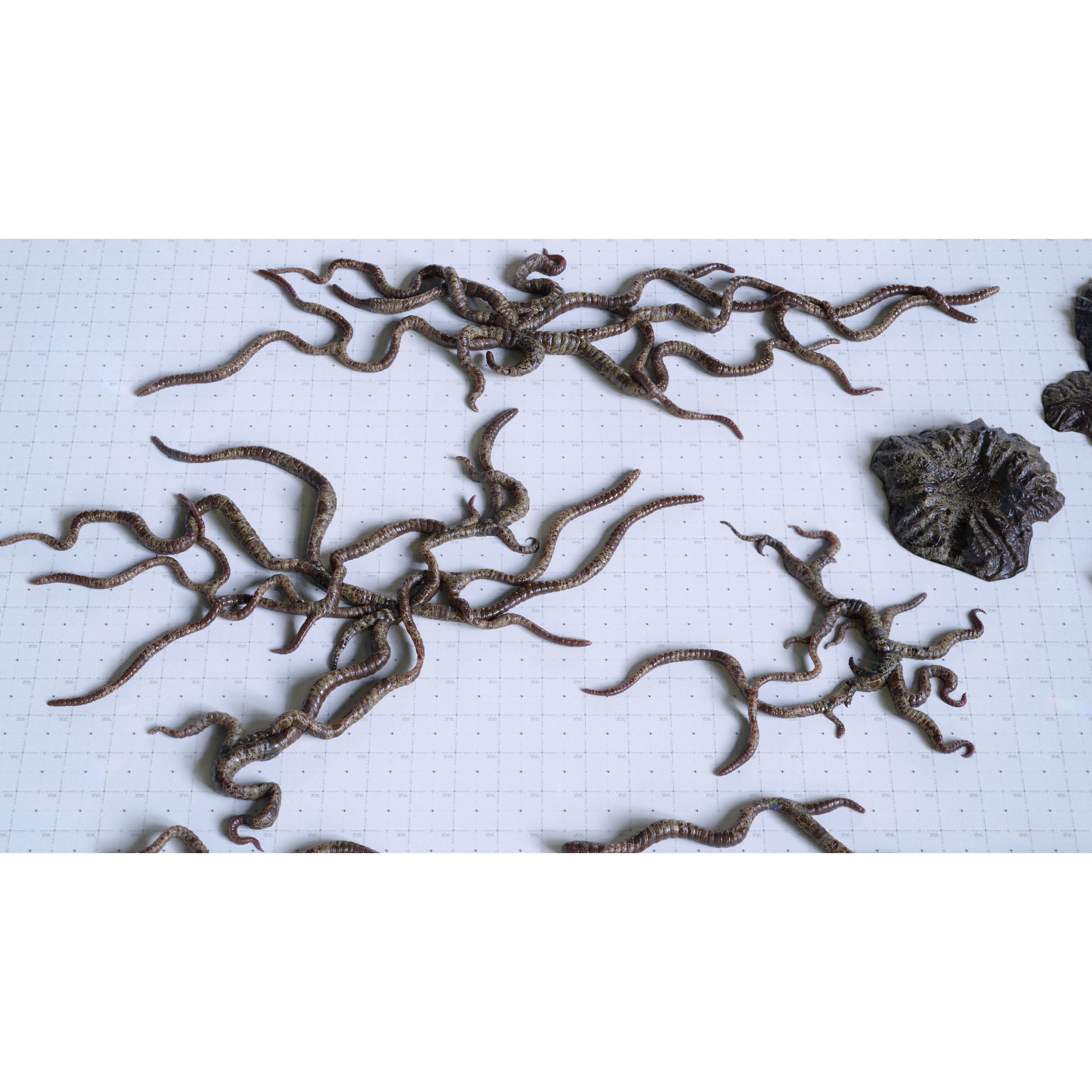 Alien Tendrils - Low-Poly Game-Ready 3D Model - View 16