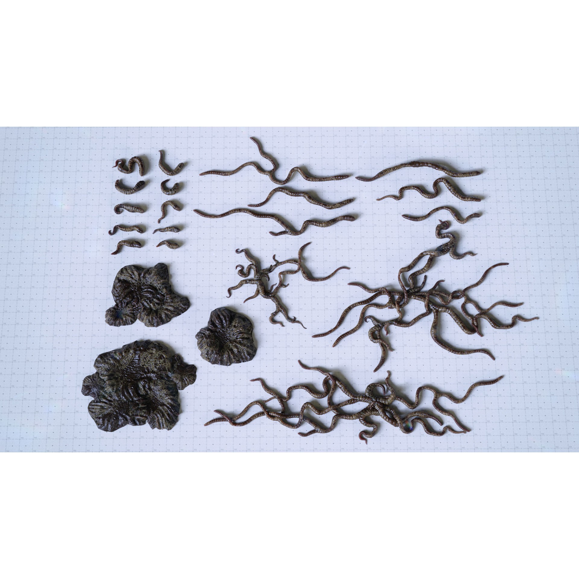 Alien Tendrils - Low-Poly Game-Ready 3D Model - View 4