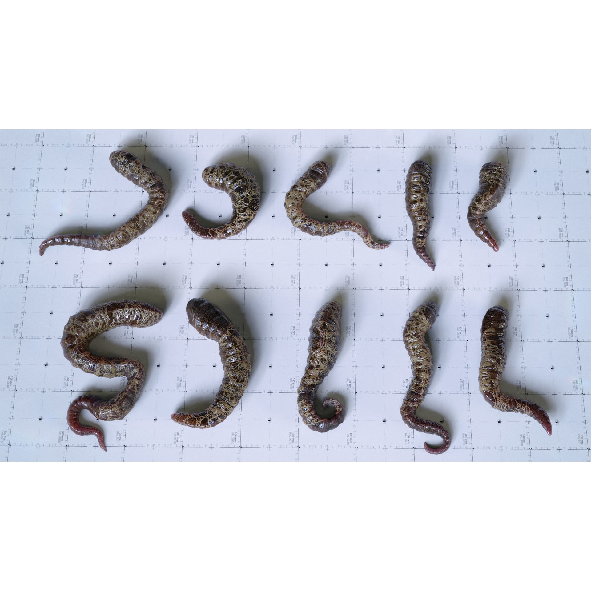 Alien Tendrils - Low-Poly Game-Ready 3D Model - View 5