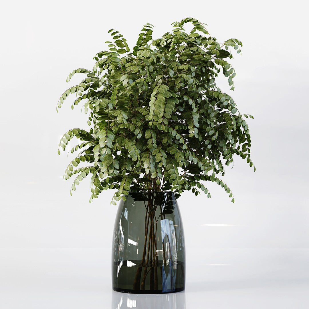 Indoor Plants 3D Model – Low Poly Collection, FBX & OBJ Formats - View 3