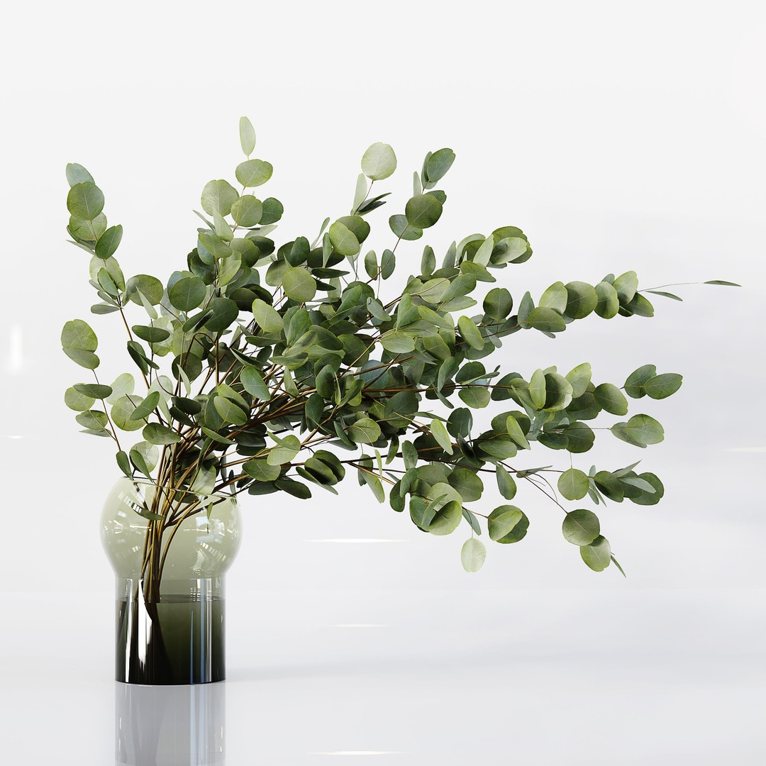 Indoor Plants 3D Model – Low Poly Collection, FBX & OBJ Formats - View 5