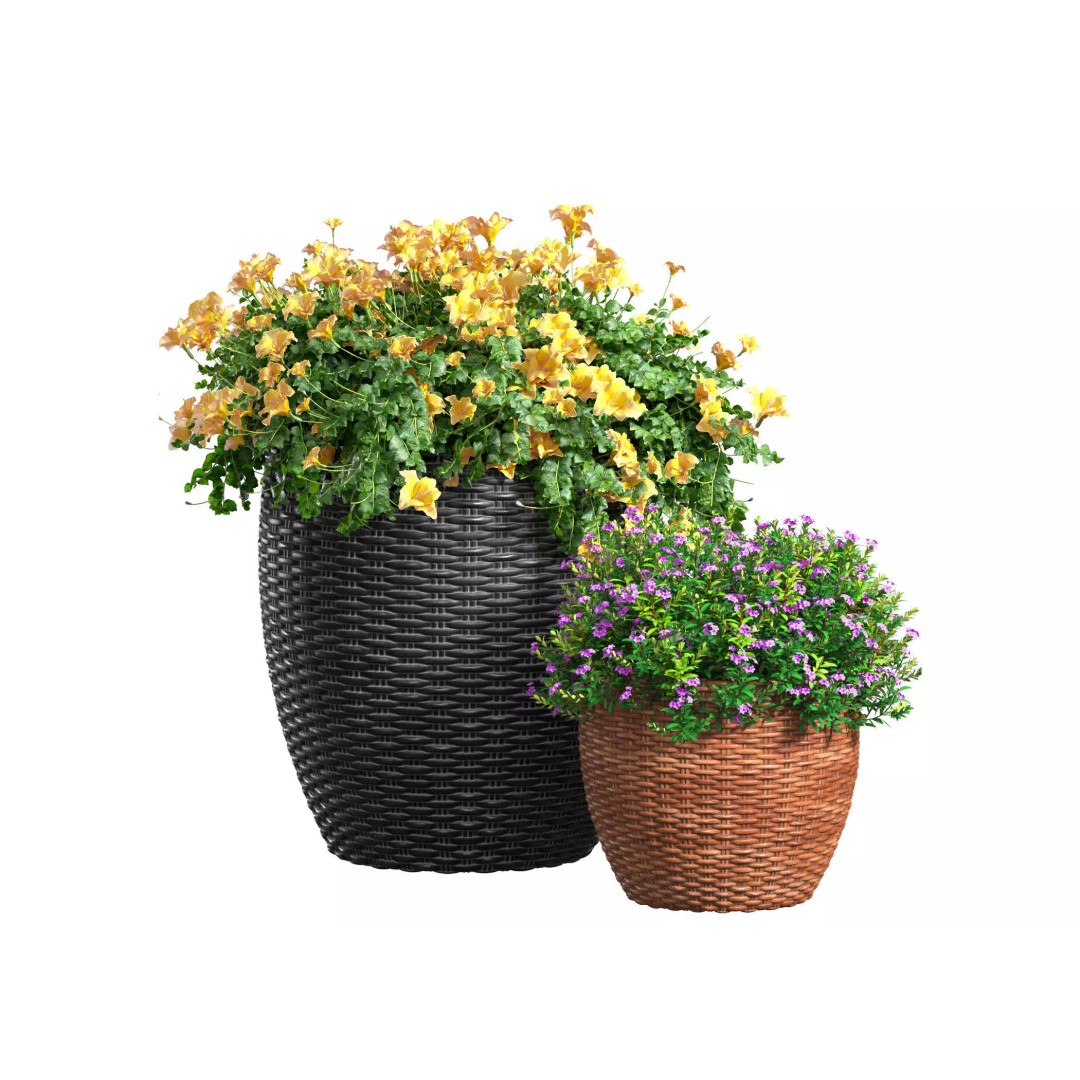 Flowerbed 3D Model – Rattan Garden Pot with Yellow Flowers - View 2