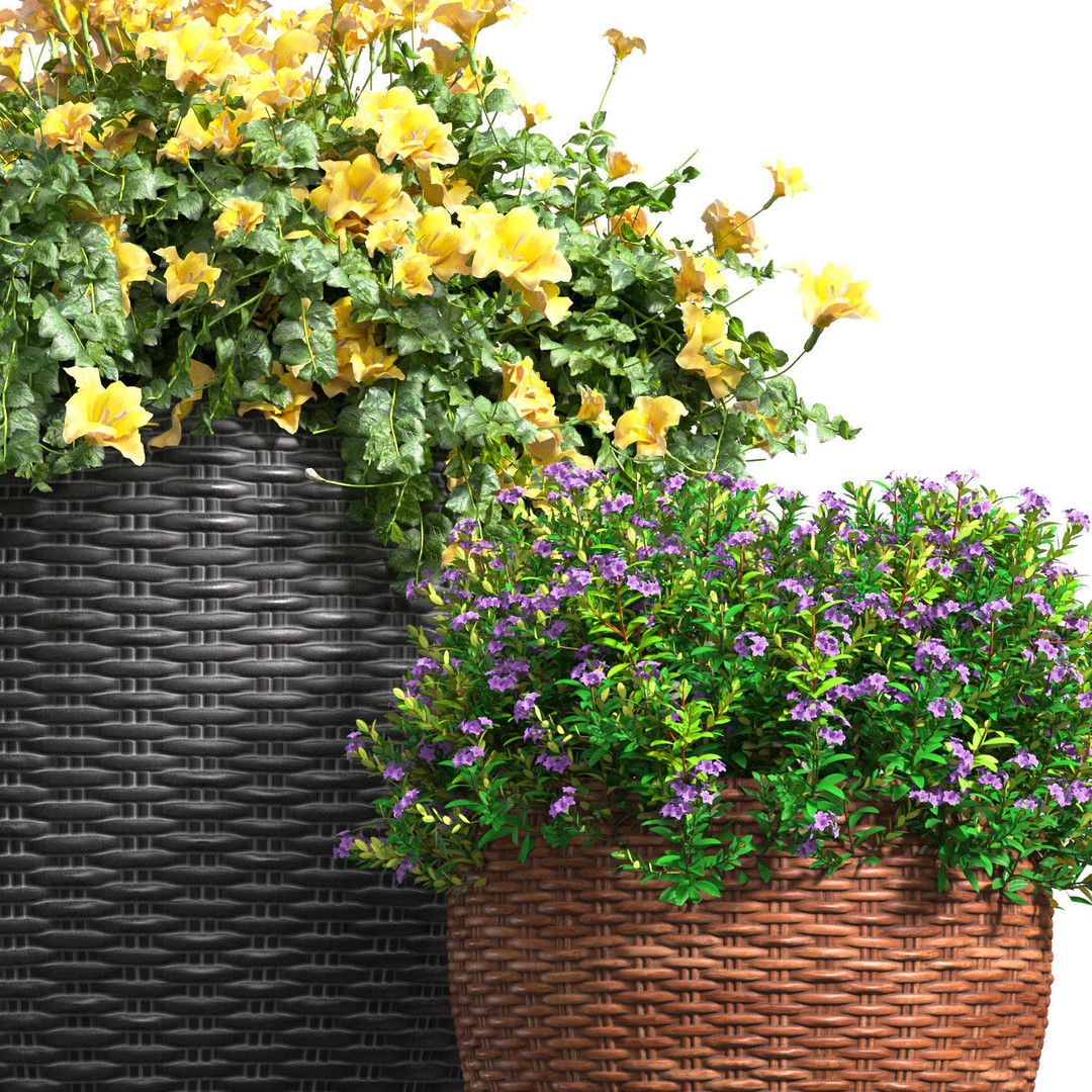 Flowerbed 3D Model – Rattan Garden Pot with Yellow Flowers - View 3