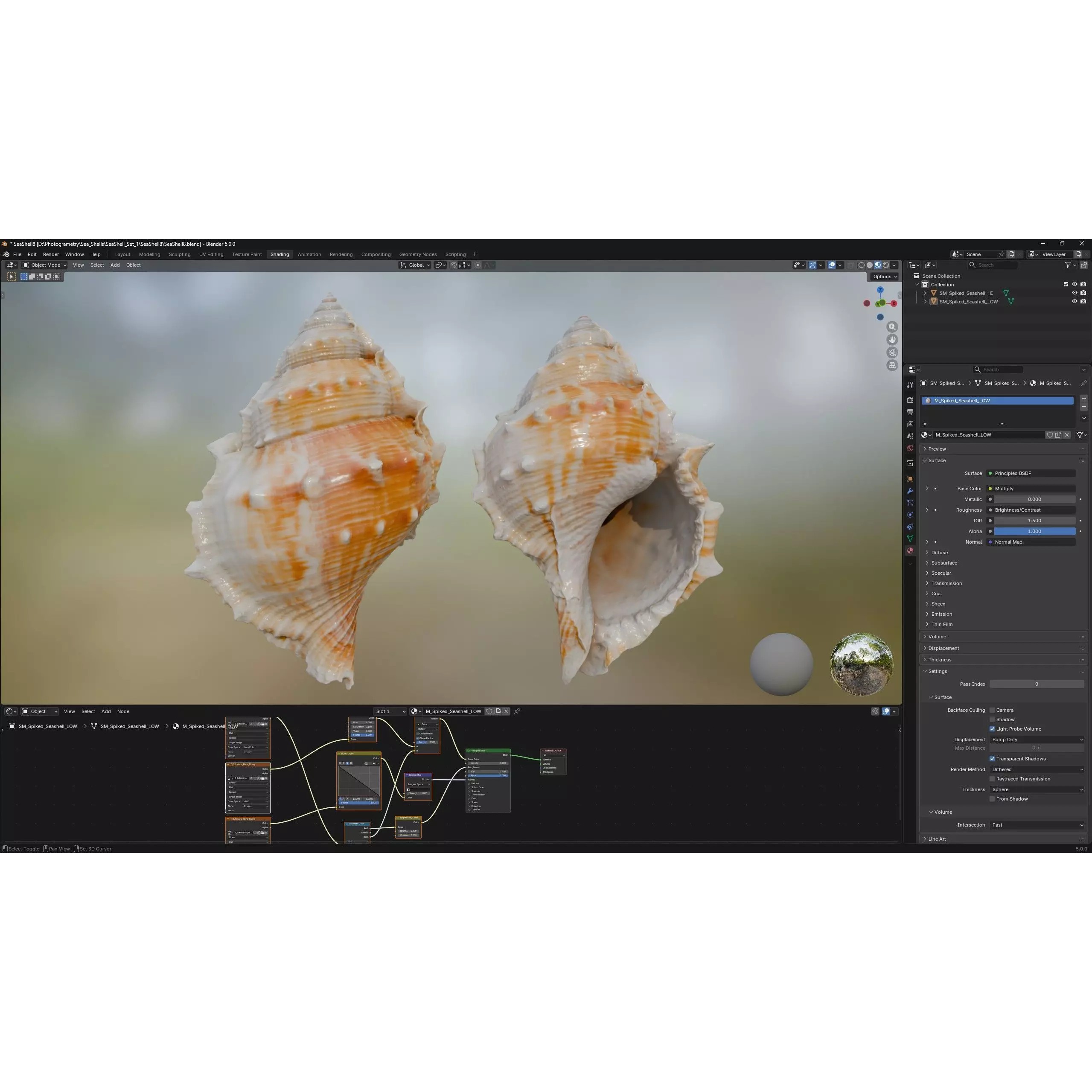 Sea Shell Set - Low-Poly Game-Ready 3D Model - View 16