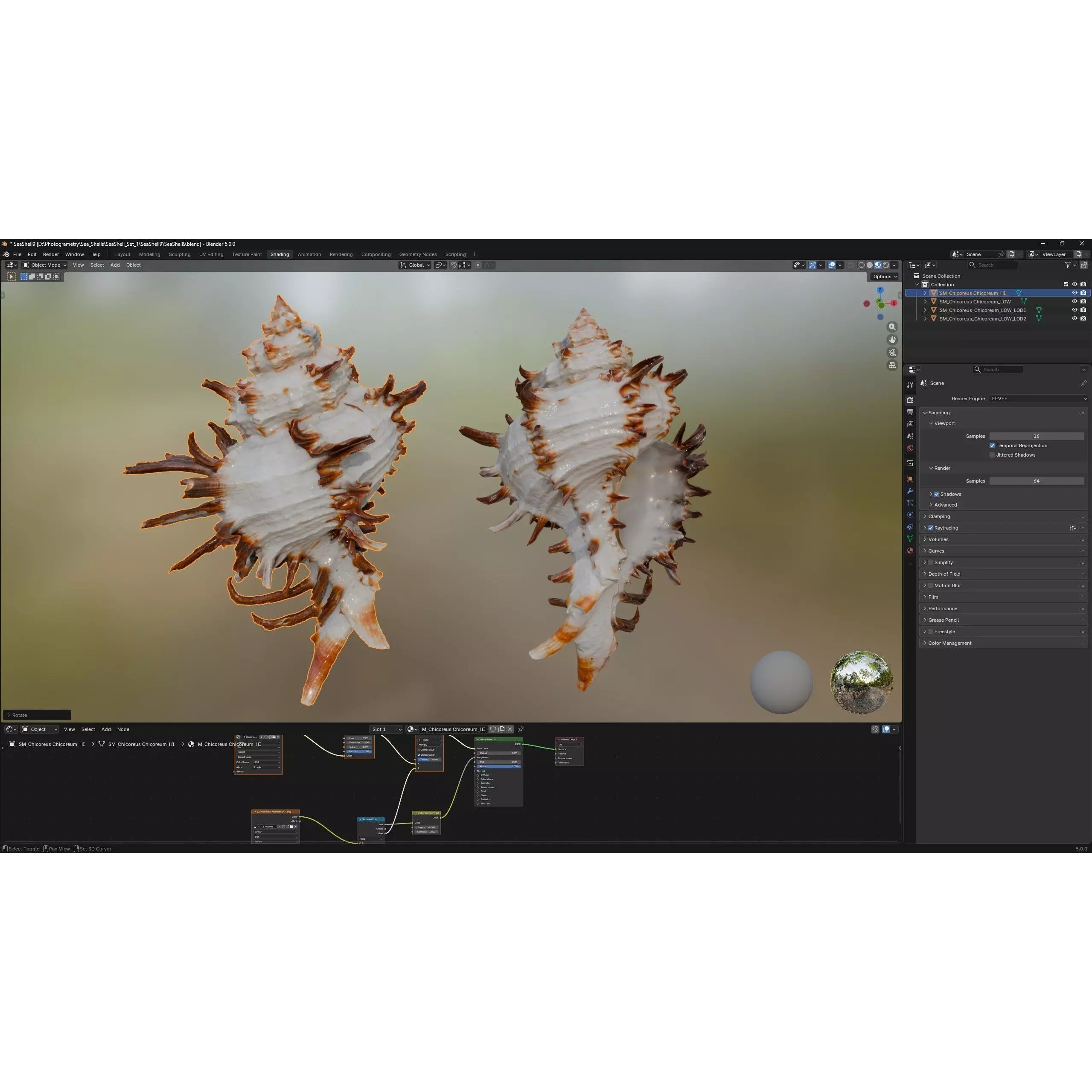 Sea Shell Set - Low-Poly Game-Ready 3D Model - View 23