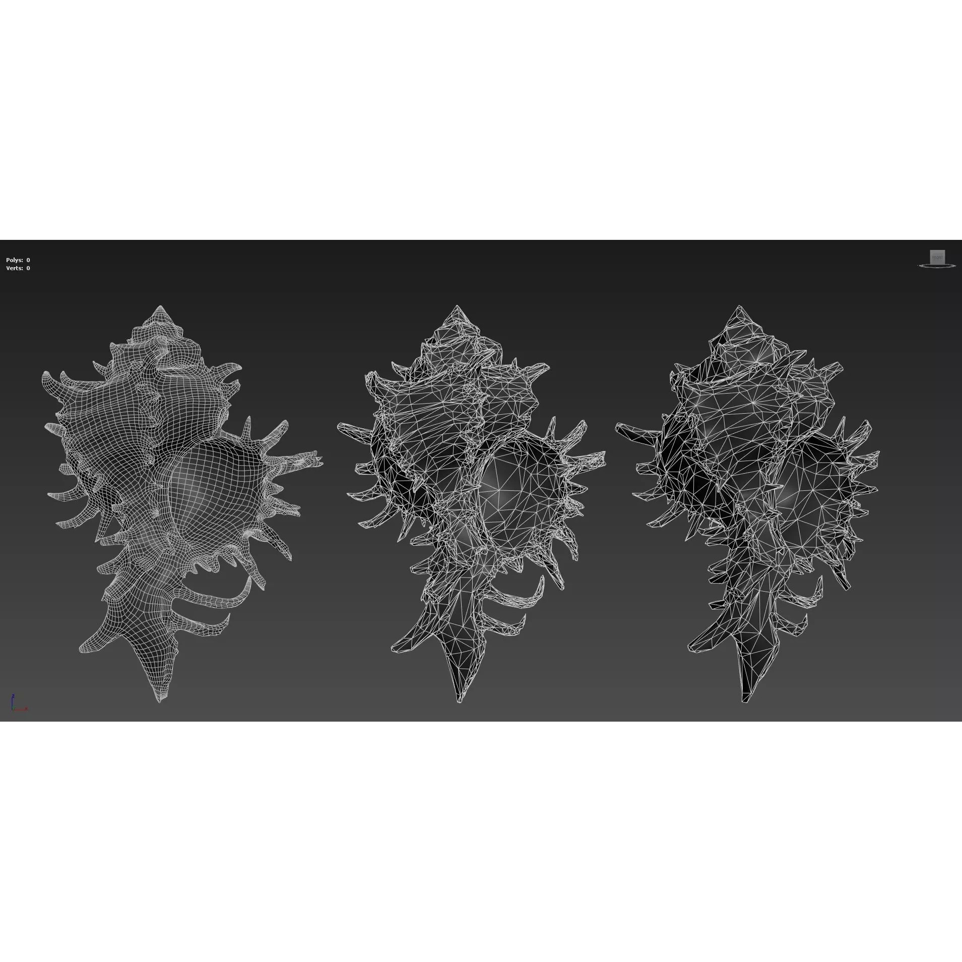 Sea Shell Set - Low-Poly Game-Ready 3D Model - View 24