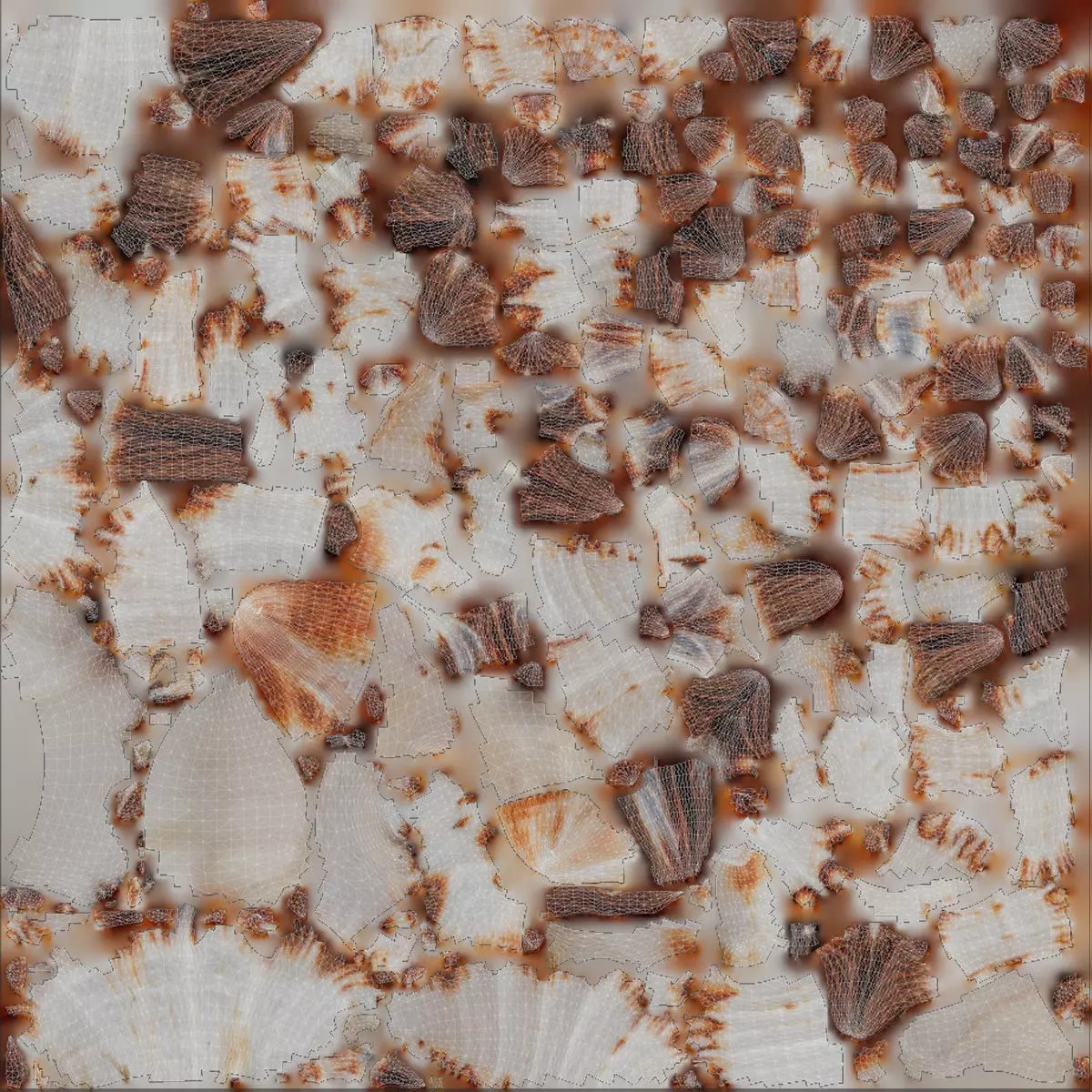 Sea Shell Set - Low-Poly Game-Ready 3D Model - View 26