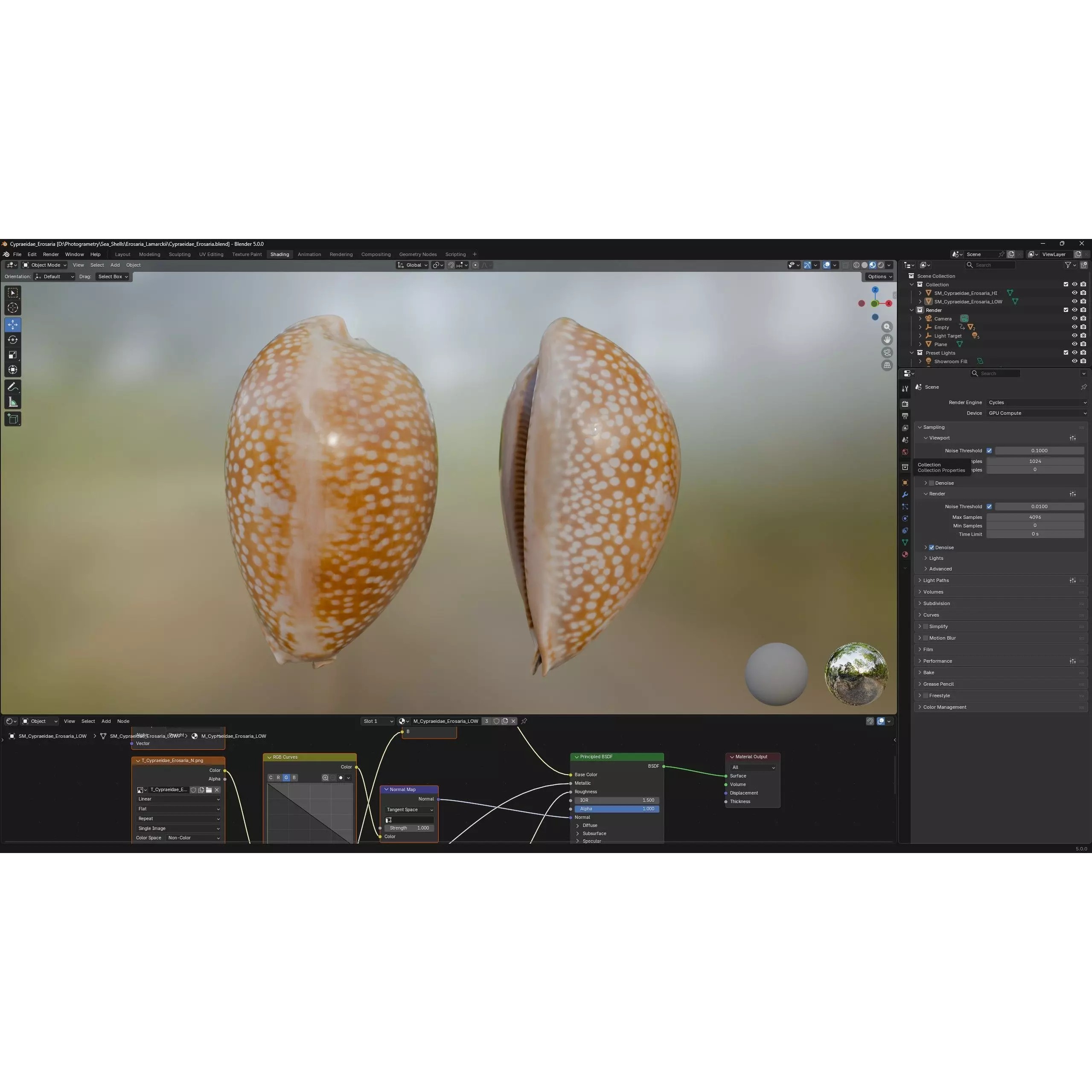 Sea Shell Set - Low-Poly Game-Ready 3D Model - View 28