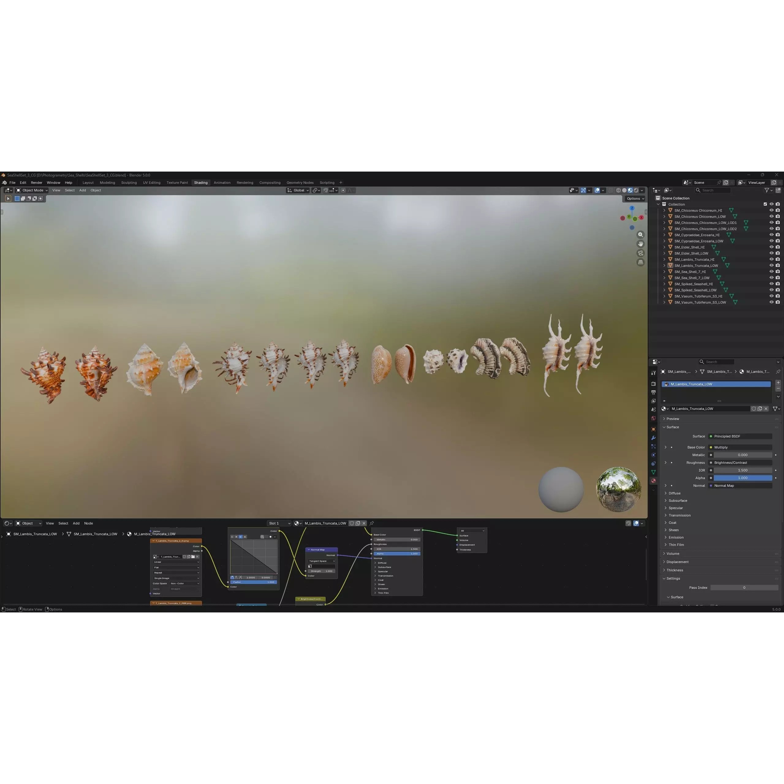 Sea Shell Set - Low-Poly Game-Ready 3D Model - View 3