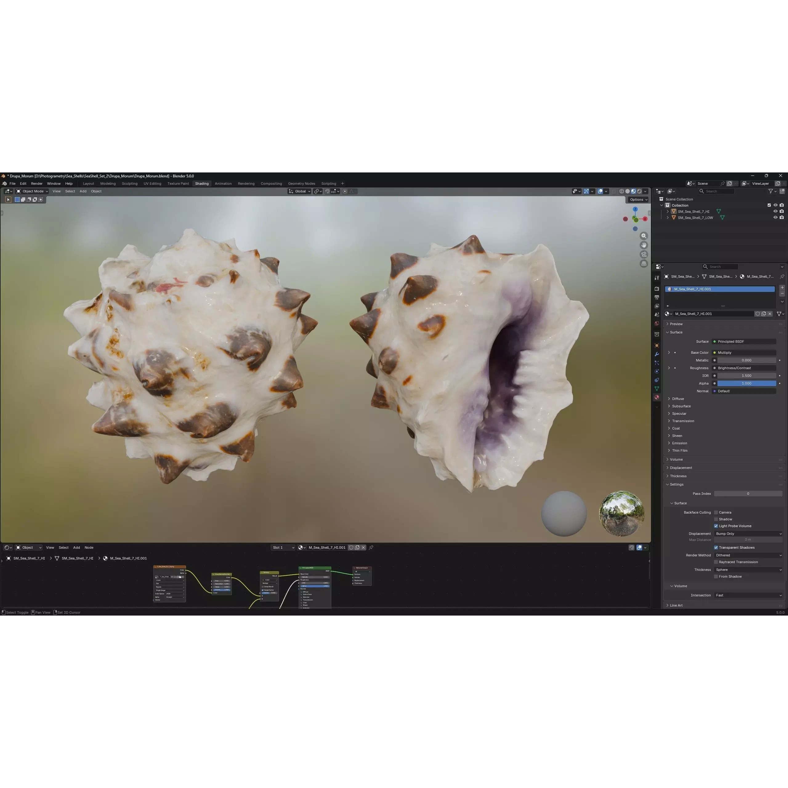 Sea Shell Set - Low-Poly Game-Ready 3D Model - View 34