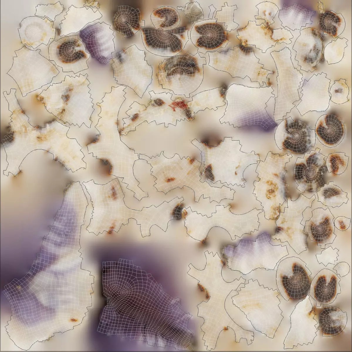 Sea Shell Set - Low-Poly Game-Ready 3D Model - View 36