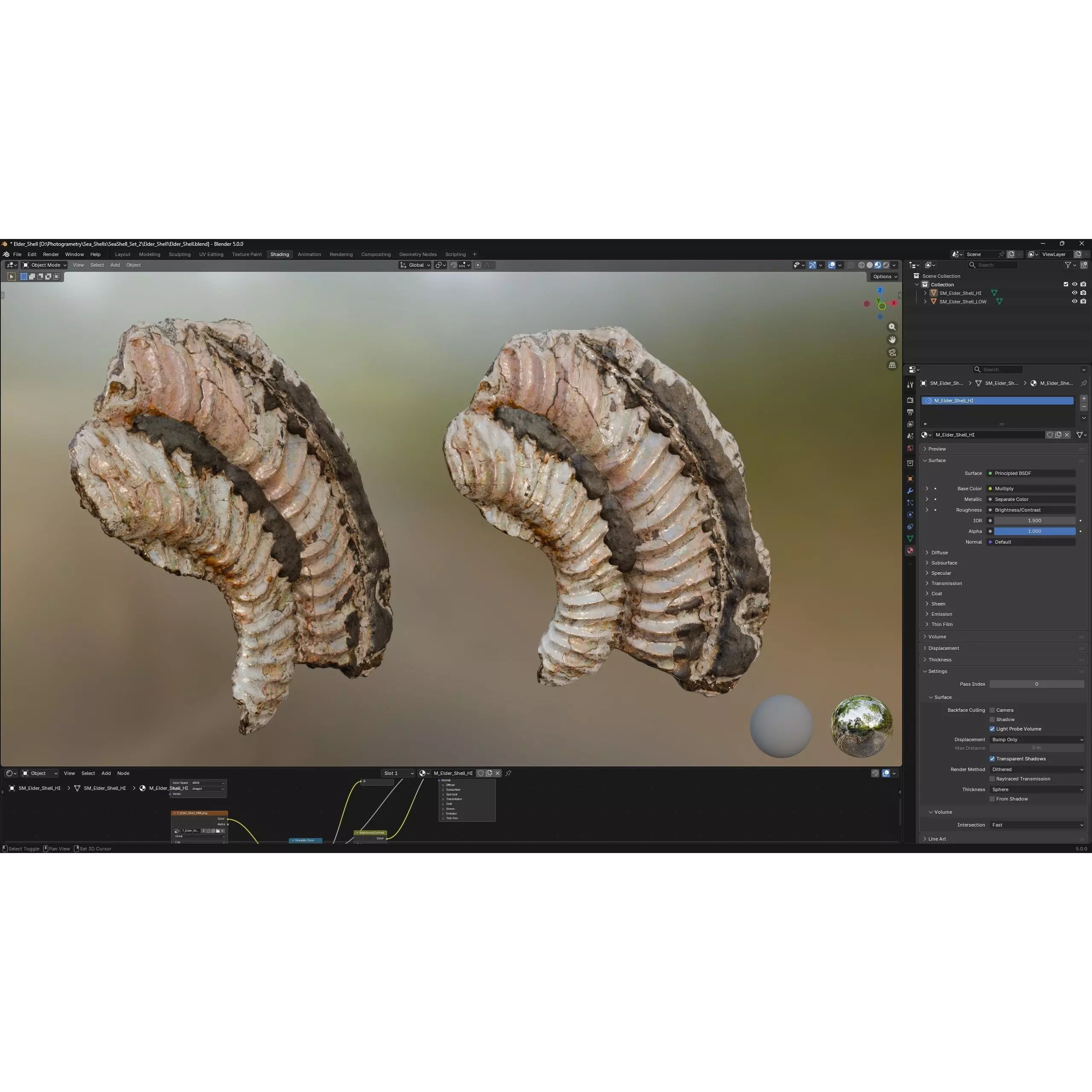 Sea Shell Set - Low-Poly Game-Ready 3D Model - View 38