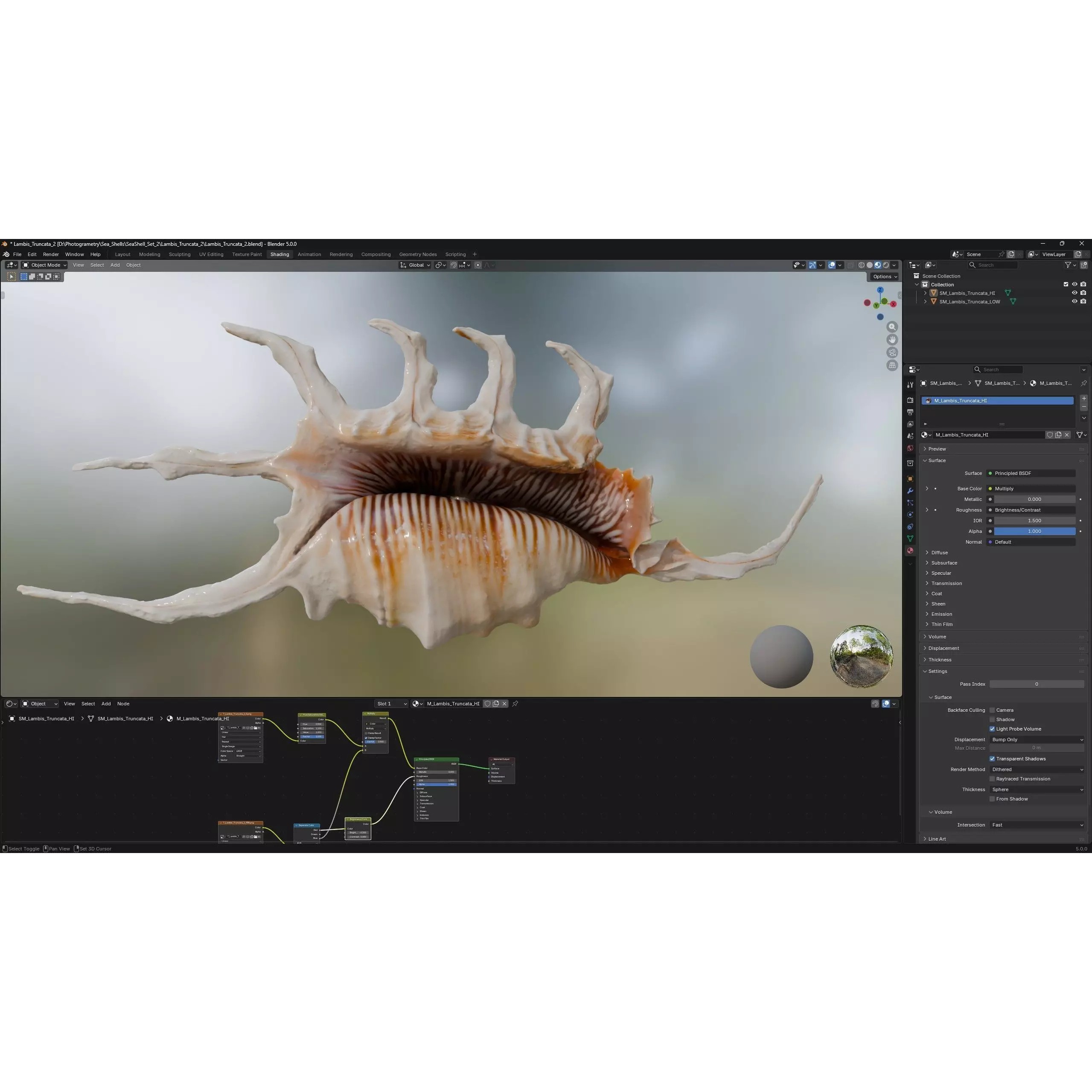 Sea Shell Set - Low-Poly Game-Ready 3D Model - View 43