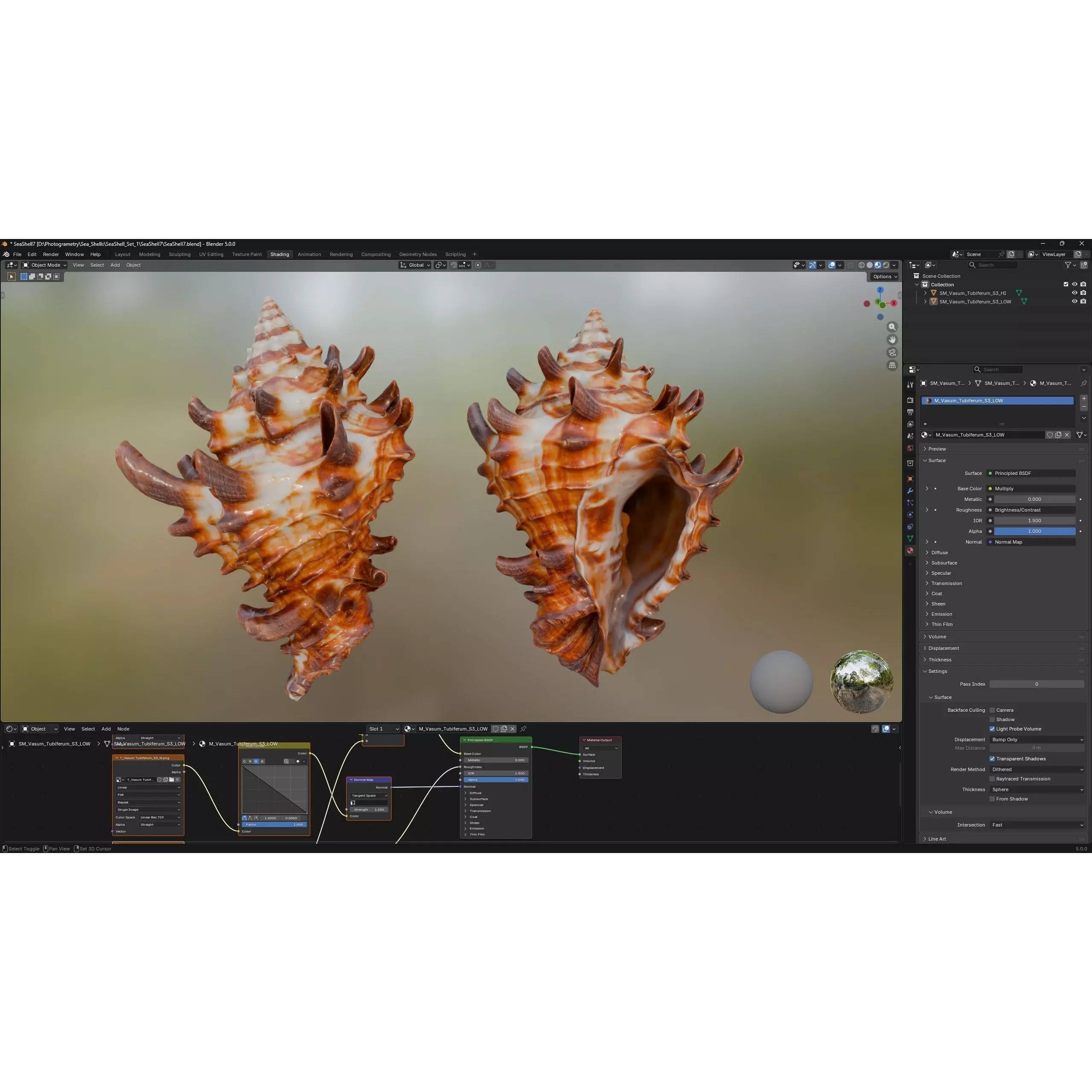 Sea Shell Set - Low-Poly Game-Ready 3D Model - View 9