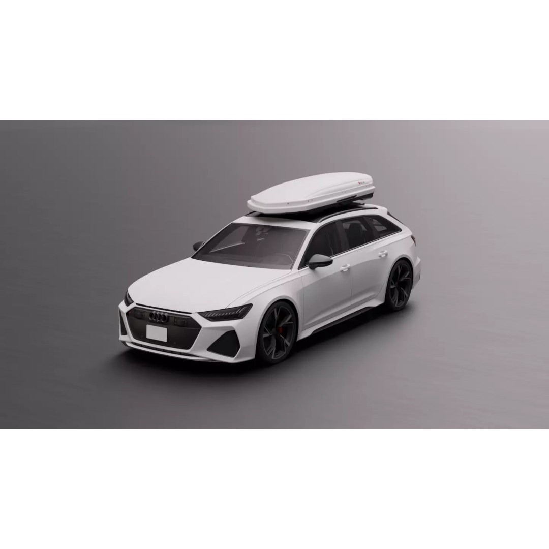 Audi RS6 Avant 3D Model – High-Fidelity Sport Car Asset, FBX - View 2