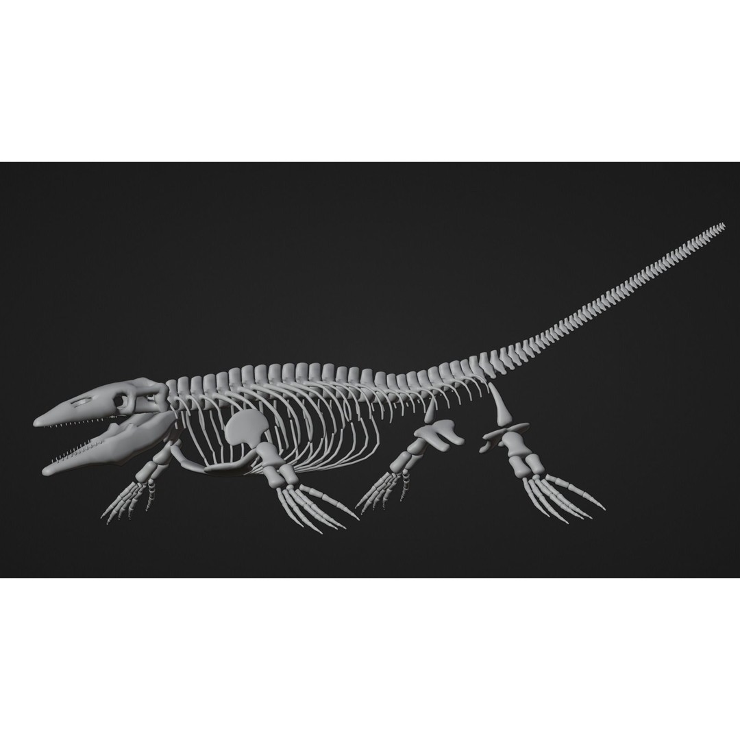 Mosasaurus 3D Model – Realistic Low-Poly Fossil for Animation - View 11
