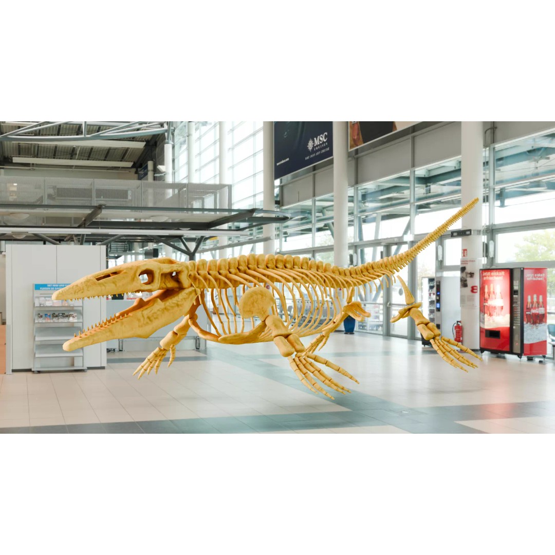 Mosasaurus 3D Model – Realistic Low-Poly Fossil for Animation - View 2